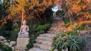 Magical Yoga week in Andalusia