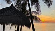 FIT pobyt na BALI s Věrkou Berouškovou