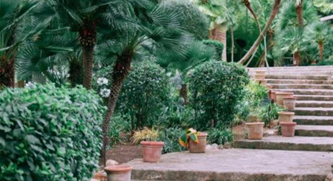 Reatreat pro ženy na Mallorce