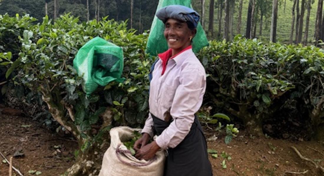 Jóga, kolo i trek na Srí Lance